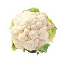 Blumenkohl