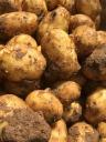 Kartoffeln