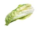 Zuckerhut